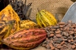 Quelques mots sur le chocolat